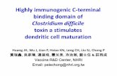 Clostridium difficile - d2cax41o7ahm5l.cloudfront.net · binding domain of Clostridium difficile ... Clostridium difficile Scientific classification Kingdom: Bacteria ... Treatment