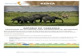 SAFARIS DE TANZANIA - tarannatrekking.com · Una característica propia del Parque es la presencia de leones pasando el día ... 14.763 Km² del Serengeti en el noroeste, los 2.200
