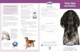 Canine Aging Hill’s Prescription Diet pet foods Aging ... · pet foods. Hill’s Prescription Diet pet foods are specially ... Hill’s Prescription Diet b/d was the first food