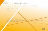 STUDIEPLAN - uit.no20181203102621/NY Studieplan...INF-2301 Computer communication and security ... STA-3003 Nonparametric inference ... FYS-2007 Statistical signal theory / STA-2003