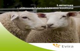 Lammas - Etusivu - Evira¤inten pito > Merkitseminen ja rekisteröinti > Lampaat ja vuohet. 10 Lammas – eläinsuojelulainsäädäntöä koottuna Lampaan hoito Hyvinvoinnista huolehtiminen