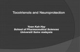 Tocotrienols and Neuroprotection - Official Website · Tocotrienols and Neuroprotection Yuen Kah Hay School of Pharmaceutical Sciences Universiti Sains malaysia