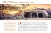 Indien – der Süden Tiger, Tempel, Tropensonne Tempel, Tropensonne S üdindien kombiniert Kultur, Natur und Erholung auf einzigartige Weise. Deshalb haben wir unsere Rundreise so