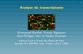 Analyse du transcriptome - Mines ParisTechmembers.cbio.mines-paristech.fr/~jvert/talks/050705jobim/jobim.pdf · 1 Analyse du transcriptome Emmanuel Barillot, Franck Rapaport Jean-Philippe