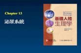 Chapter 13 - Dr Allen Shen's website · 13.1 腎臟內腎元產生尿液 • 腎臟產生的尿液由輸尿管送到膀胱，再 從膀胱送到尿道內。腎臟包含精微功能