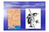 Aquaculture – catfishanimalscience2.ucdavis.edu/.../Lectures/ANS18-10-L04-CATFISH-CULT.pdfANS 18 - CATFISH 2 A great little book on the south and catfish farming The Delta Catfish