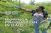 MORINGA PRODUCTION IN HAITI - SquarespaceProduction+in+Haiti.pdfThe SFA is also working with Kreyòl Essence, a natural and organic hair, skin and body care company, to supply them