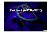 Fast track to SYBASE IQ - cfs4.tistory.comcfs4.tistory.com/upload_control/...track_to_SYBASE_IQ.pdf · Sybase RDBMS Sybase가제 ...