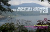 IRRIGATION MANAGEMENT FOR SUSTAINABLE ... files/S6-I Wayan...IRRIGATION MANAGEMENT FOR SUSTAINABLE AGRICULTURE IN BALI Dr. I Wayan BUDIASA Faculty of Agriculture, Udayana University