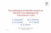 The Utilization of Satellite Images to Identify Tree … · PSERC Project Tele-Seminar ... • Utilities identify a voltage dependent danger ... vegetation height is the analysis