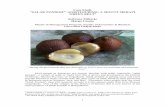 Case Study - ProSPER.Netprospernet.ias.unu.edu/.../09/Agrotourism-Case-Study-UGM-case-2.pdfCase Study “SALAK PONDOH”1 ... a variant of salak or snake fruit that is grown and developed