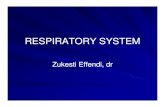 K2 HISTOLOGI RESPIRATORY SYSTEM .ppt [Read ... - …ocw.usu.ac.id/course/download/1110000114-respiratory-system/rts145... · - lempeng tulang rawan makin berkuranglempeng tulang rawan
