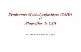Syndromes Myélodysplasiques (SMD) et Allogreffes de CSHcluster013.ovh.net/~aihemato/AIH/documents/DES231015/Allogreffe... · 510 ! >10 ! High risk