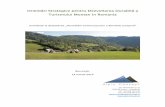 Orientări Strategice pentru Dezvoltarea Durabilă a ... · Orientări Strategice pentru Dezvoltarea Durabilă a Turismului Montan in Romania contribuții la dezbaterea „Dezvoltăm