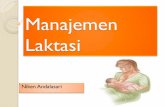 Manajemen Laktasiakper-alikhlas.com/.../uploads/2016/03/Manajemen-Laktasi.pdfFisiologi Laktasi Hormon prolaktin berfungsi untuk produksi ASI. Selama hamil hormon prolaktin dari plasenta