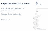Center for Workforce Studies - Michigan · Prepared by AAMC Center for Workforce Studies, ... AMA Physician MasterFile, January 2005 Percent of Physicians that are IMG 23.4% 26.9%
