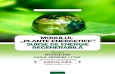 Ministerul Educaţiei al Republicii Moldova - biomasa.mdbiomasa.md/wp-content/uploads/2016/11/Modul-Silvicultor-final.pdf- Reguli de protejare a solului şi de exploatare a plantaţiei;