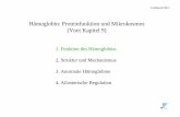 Hämoglobin: Proteinfunktion und Mikrokosmos (Voet … · U.Albrecht BC1 Hämoglobin: Proteinfunktion und Mikrokosmos (Voet Kapitel 9) 1. Funktion des Hämoglobins 2. Struktur und