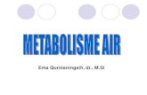 Ema Qurnianingsih, dr., M - ikma11.weebly.comikma11.weebly.com/uploads/1/2/0/7/12071055/metabolisme_air.pdfparu 350 kulit keringat 100-250 ginjal 900-1400 feses 150 ... pengukuran