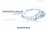 kaneka ipr 2015 e - 株式会社カネカ Global Environment Quality of Life Informatizing Society Food and Food Production Support Information and CommunicationsIInformation and Communicationsnformation