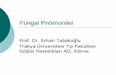 Fungal Pnömoniler - ASYOD · Göz ( endoftalmitis candida türleri). ...