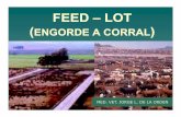 FFEEEED –D –LLOTOT - El Sitio de la Producción Bovina ...produccion-animal.com.ar/.../81-FEED-LOT.pdf · oferta para consumo interno: “subsidio“subsidio-feed lot dependiente”feed