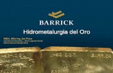 Hidrometalurgia del Oro - cip-trujillo.org · cementación del cobre por el hierro y el uso de aqua regia. • 1880 - Se descubre que el oro y la plata pueden ser lixiviados en soluciones