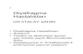Diyafragma Hastalıkları word€¦ ·  · 2014-01-14• Masaj manipulasyon • Frenik Sinir Injurisi Etioloji • Iatrojenik – Mediastinal / Toraks • Karotid-Subklavian Bypass