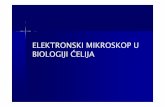 ELEKTRONSKI MIKROSKOP U BIOLOGIJI ĆELIJAbio.bg.ac.rs/materijali_korisnika/em-2014-15-compatibility-mode.pdf1929. Ruska publikuje prvi naučni rad koji se bavi uticajem magnetnog polja