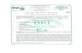 BKI-Ex-Certificate - flowsic600.ru · BKI 03 ATE-X 224 X EK-Típus Vizsgálati Tanúsítvány/ EC-Type Examination Certificate BKI Lapszám / Page: 217 A vizsgálat eredményeit az