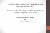 Examining measures of the Equilibrium Real Exchange Rate ... · Exchange Rate (PEER), Natural Real Exchange Rate (NATREX) and ... Govt. Spending to GDP I(1) ... Most of the factors