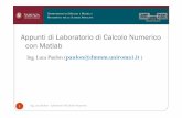 Appunti di Laboratorio di Calcolo Numerico con Matlabluca.paulon/matlab.pdf · Infine realizzare il profilingtemporale del metodo di bisezione usando i comandi tic e toc. Esempio