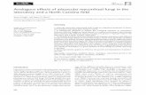 Analogous effects of arbuscular mycorrhizal fungi in the ...nature.berkeley.edu/brunslab/mycorrhizal/papers/pringle2008.pdf · Blackwell Publishing LtdAnalogous effects of arbuscular