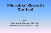 Microbial Growth Control - mnurcholis.lecture.ub.ac.id · digunakan dalam mencegah terjadinya kontaminasi pada peralatan operasi, ... mencegah kebusukan dari produk minuman, misal