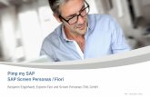 Pimp my SAP SAP Screen Personas / Fiori - itml.de · Personas ￭ Business Suite (ECC 6) vorhanden ￭ SAP GUI/NWBC im Einsatz ￭ Klagen über die Benutzerfreundlichkeit und Produktivität.