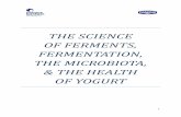 THE SCIENCE OF FERMENTS, FERMENTATION, THE …ipaeurope.org/images/image/pdf/Science-fermentedfoods-yogurt... · THE SCIENCE OF FERMENTS, FERMENTATION, THE MICROBIOTA, ... Very first