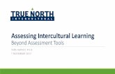 Assessing Intercultural Learning - … · Challenges related to assessing intercultural learning ... Formative vs. Summative Assessment ... the process by imagining a time when the