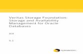 Veritas Storage Foundation: Storage and Availability ... · Veritas Storage Foundation: Storage and Availability ... of Storage Foundation storage and availability management for