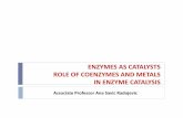 Associate Professor Ana Savic Radojevic - Почетна · ROLE OF COENZYMES AND METALS ... releasing free energy that we can use to think, move, taste, ... ENZYMES ARE CLASSIFIED