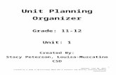 11-12 Unit 1 Planning Organizer.docx - mbaea.org€¦ · Web viewUnit Planning Organizer. Grade: 11-12. Unit: 1. Created By: Stacy Peterson, Louisa-Muscatine CSD. Chanda Hassett,