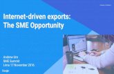 Internet-driven exports: The SME Opportunity Proprietary ...€¦Proprietary + Confidential Proprietary + Confidential Internet-driven exports: ... on Google AdWords for APEC economies