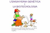 L'ENGINYERIA GENÈTICA i LA BIOTECNOLOGIAcosmolinux.no-ip.org/recursos_aula/BIO1erBAT/Enginyeria_genetica/L... · L'enginyeria genètica i la producció agrícola i animal Què és