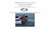 Dolphin Research Center Training Institute · Dolphin Research Center . Training Institute. ... to his then general manager and head trainer, ... Dolphin Research Center and the Dolphin