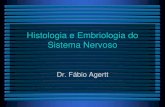 Histologia e Embriologia do Sistema Nervoso · •No embrião: todo o canal vertebral •No RN: L2-L3 •Adulto: L1. ... •Vesículas telencefálicas –hemisférios cerebrais ...