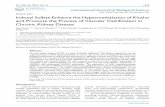 Research Paper Indoxyl Sulfate Enhance the ... · Research Paper Indoxyl Sulfate Enhance the Hypermethylation of Klotho ... the possible cause of vascular Klotho deficiency in CKD