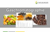 Überblick Inhalt - WEILBURGER Graphics GmbH · (u. A. KO-Tropfen) Drogentests Blutalkoholmessung . ...