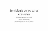 Semiologia de los pares craneales - Cátedra de Semiologíasemiologiahnc.webs.fcm.unc.edu.ar/files/2016/10/...pares_craneales.pdf · Semiologia de los pares craneales Universidad