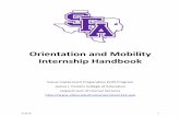 Orientation and Mobility Internship Handbook - sfasu.edu€¦ · Orientation and Mobility Internship Handbook ... narrative report of the assessment that conforms to the standards