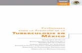 Estándares para la Atención de la Tuberculosis en Méxicocndh.org.mx/sites/all/doc/Programas/VIH... · Estándares para la Atención de la Tuberculosis en México 5 Secretaría