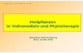 Heilpflanzen in Volksmedizin und Phytotherapie · W. Kubelka, Dept. f. Pharmakognosie, Univ.Wien Heilpflanzen in Volksmedizin und Phytotherapie Workshop CAM-Forschung Wien, 25.Mai